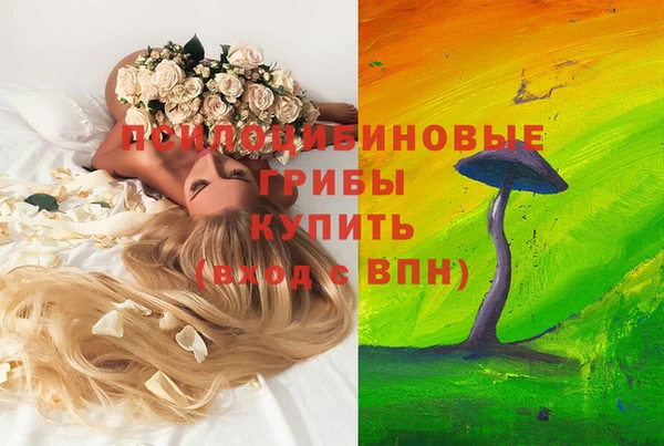 альфа пвп Баксан