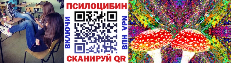 где купить наркоту Вуктыл Галлюциногенные грибы Psilocybe